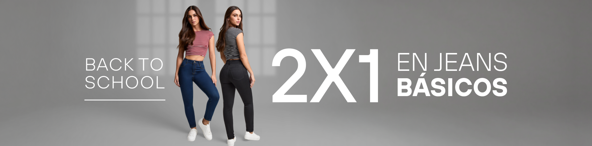 2X1 BASICOS